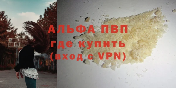 твердый Заводоуковск