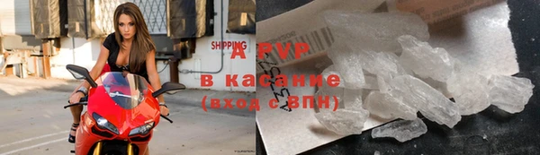 твердый Заводоуковск
