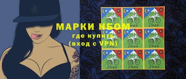 твердый Заводоуковск