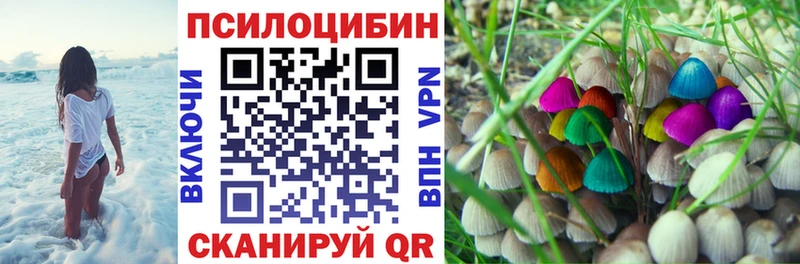 Галлюциногенные грибы прущие грибы Сланцы