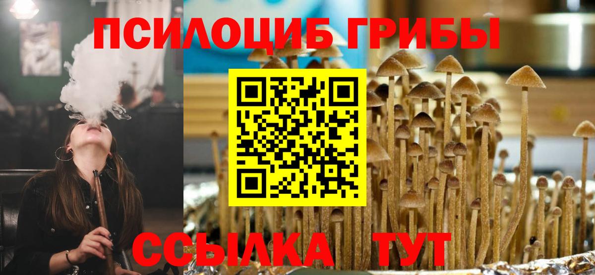 Галлюциногенные грибы Cubensis  Псилоцибиновые грибы прущие грибы  Вход с VPN  купить  цена  Сланцы 
